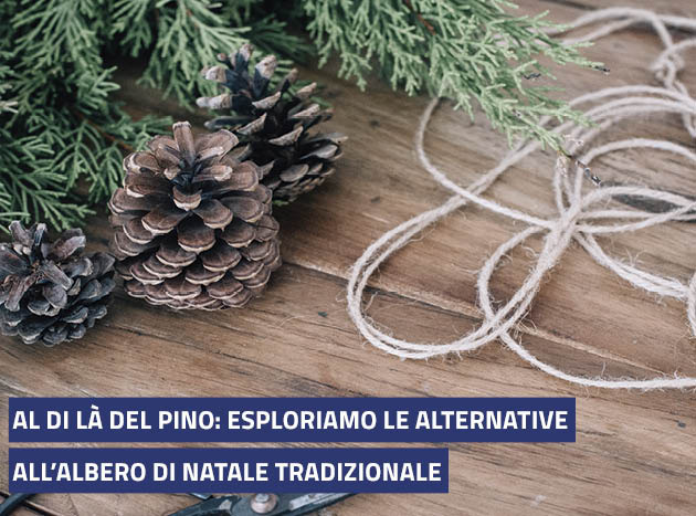 Al di l del pino: esploriamo le alternative all'albero di Natale tradizionale