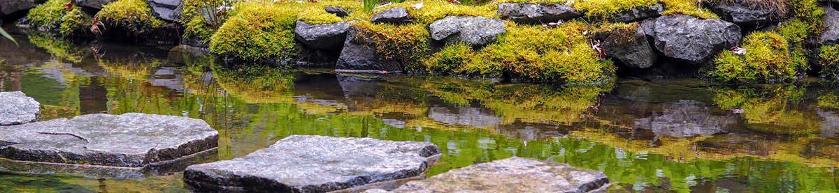 Guida: come costruire un laghetto in giardino?