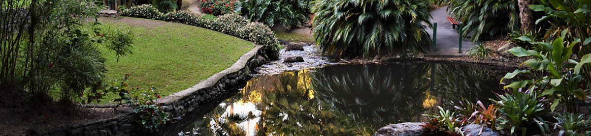 Guida: come costruire un laghetto in giardino?