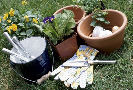 Come preparare i nostri roseti alla fioritura: la 