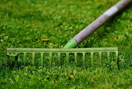 La tua cassetta degli attrezzi da giardino.