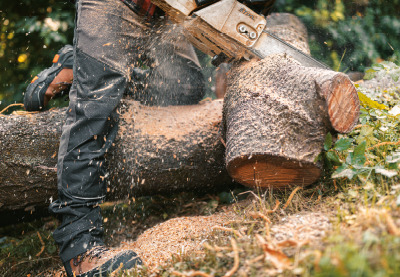 L'abbigliamento da lavoro: stile, sicurezza e comf