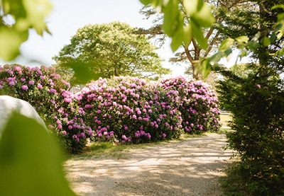 Ridefinire aiuole e zone del giardino!