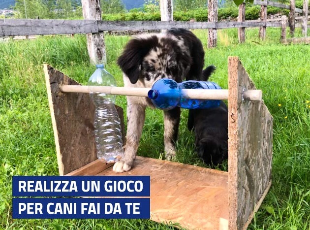 Gioco per cani Fai Da Te