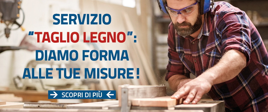 SERVIZIO "TAGLIO LEGNO"