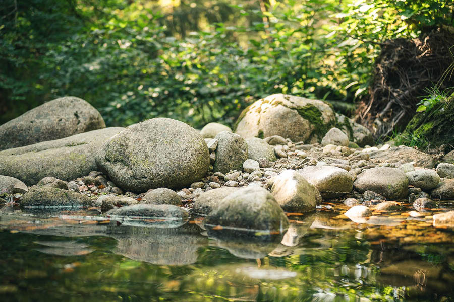 Guida: come costruire un laghetto in giardino?