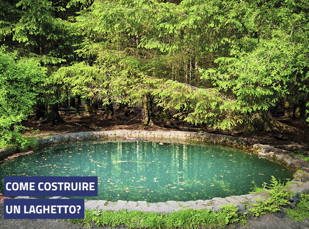 Guida: come costruire un laghetto in giardino?