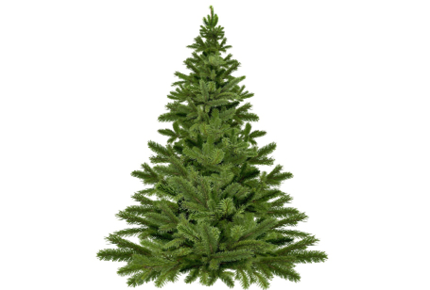 Conserva correttamente gli addobbi di Natale per i
