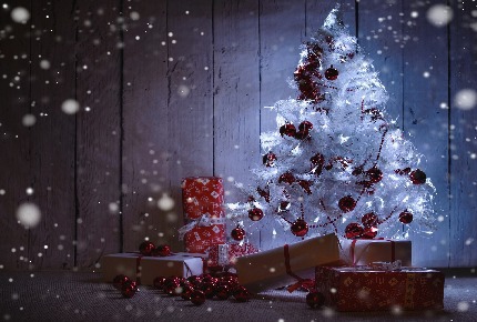L'albero di Natale!