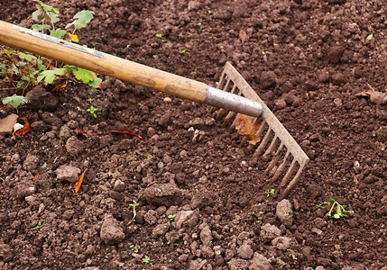 Guida agli attrezzi giusti per l’orto