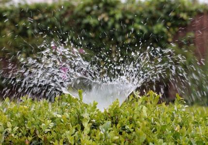 Guida: scegliere l'irrigazione da giardino!