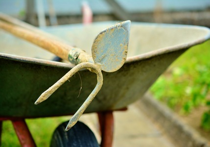 Guida agli attrezzi giusti per l’orto
