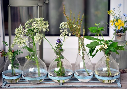 Guida: piante ideali per il balcone!