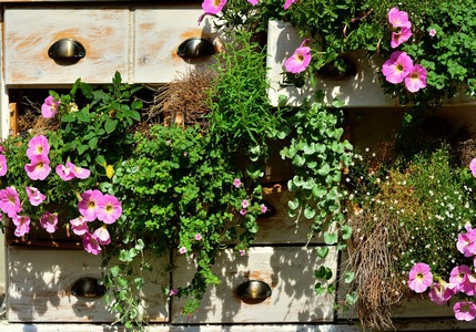 Guida: piante ideali per il balcone!
