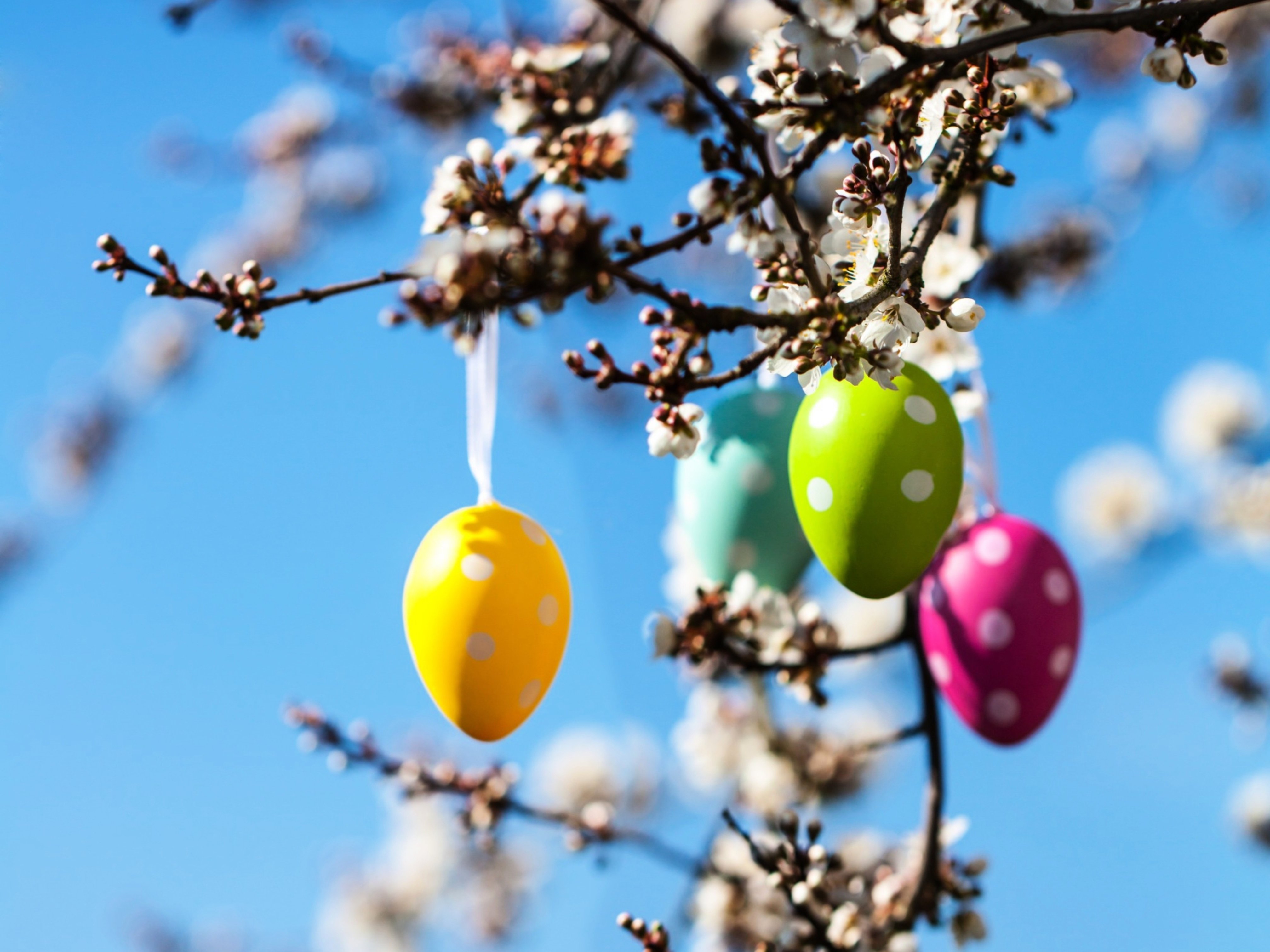 Pasqua decorata con il Fai da Te!