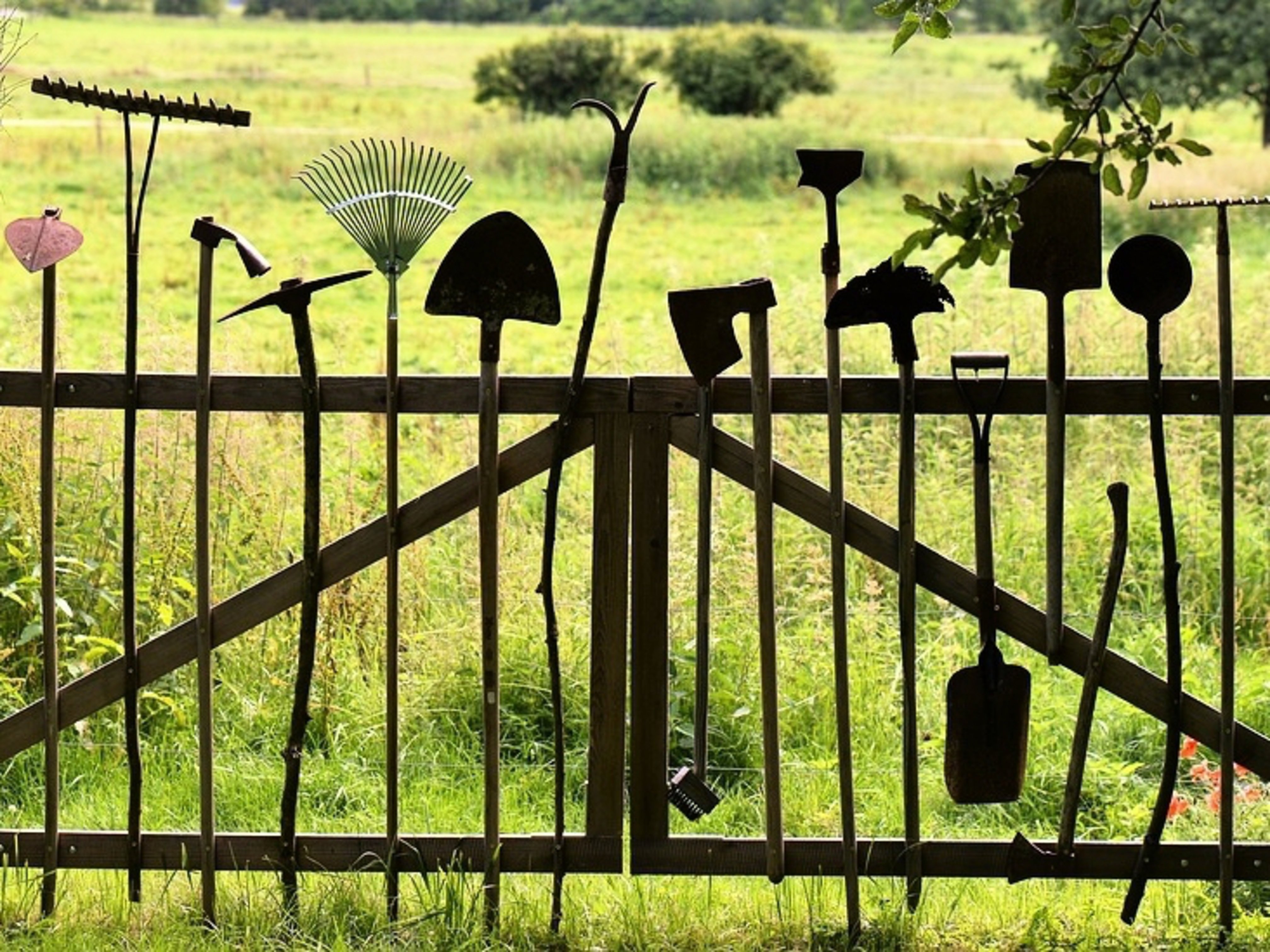 4 modi per organizzare la casetta da giardino