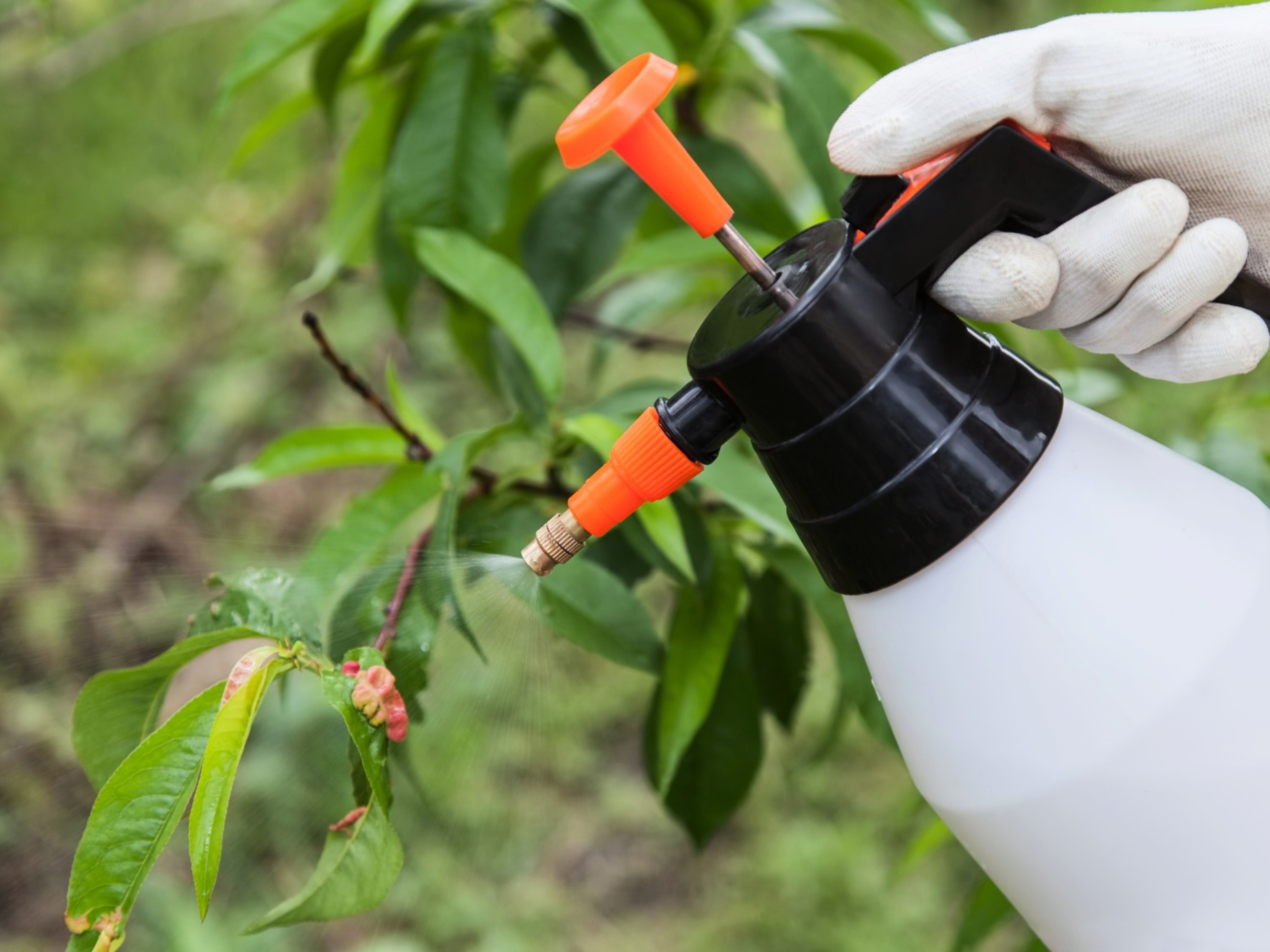 4 modi per organizzare la casetta da giardino