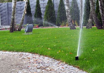 Giardino 2018: ecco cosa fare a Luglio!