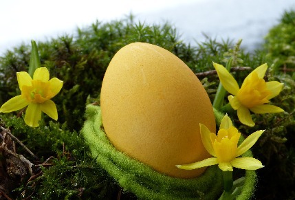 Idee fai da te originali per Pasqua!
