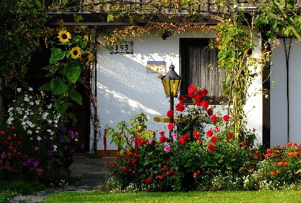 Giardino 2018: ecco cosa fare a marzo!