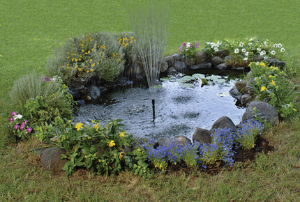 Un laghetto per il tuo giardino!