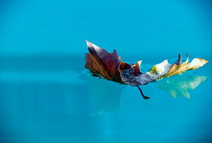 Speciale manutenzione delle piscine!