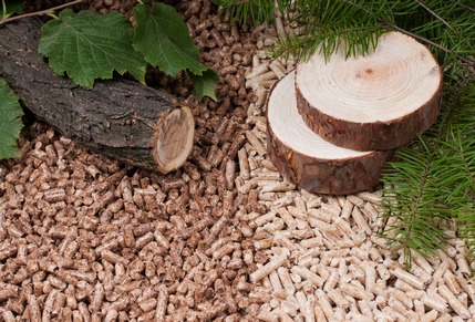 Speciale PELLET: quale scegliere?