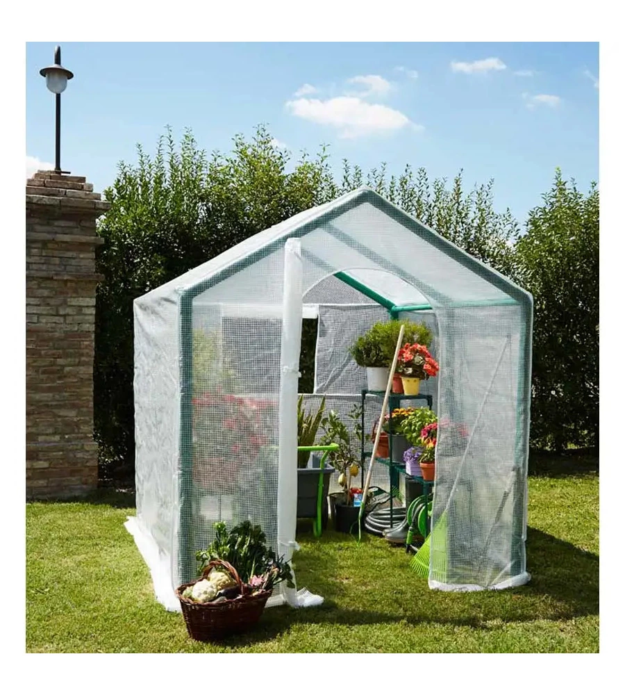 Telo di ricambio verdemax per serra violetta in pe rinforzato trasparente 200x200x220 cm
