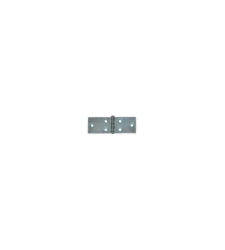 Cerniere lunghe 60 x 25 mm. - zincate - 4 pz.