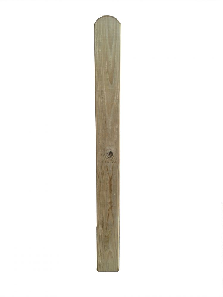 Stecca per recinto da giardino in legno di pino, 1,6x9x100 cm