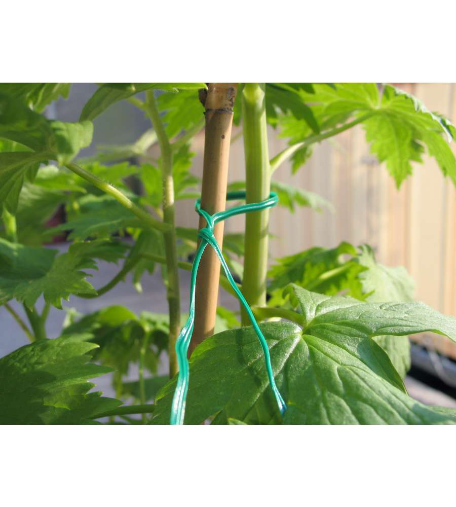 Impianto Tie Garden torsione del filo verde filo morbido CoatedCord plastica per Arti e mestieri per il giardinaggio Organizzazione casa 100M