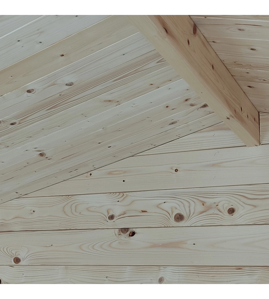 Casetta in legno da giardino alce "regis" in abete 198x198x216 cm