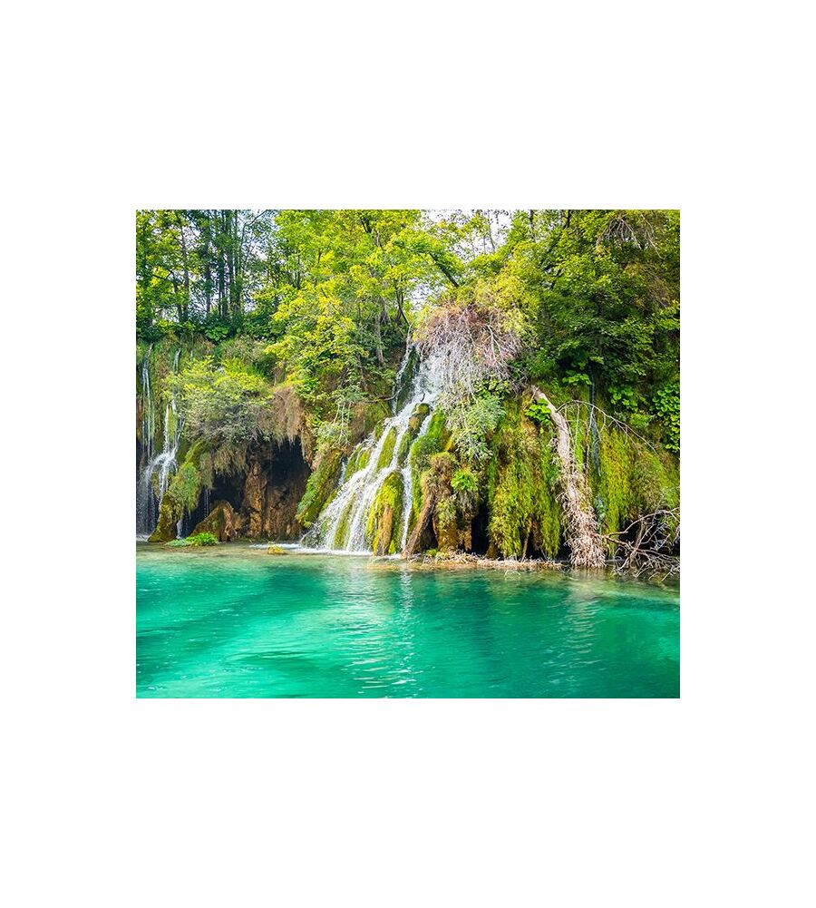 FOTOMURALE ADESIVO "FOREST LAKE" IN PVC, 312X280 CM