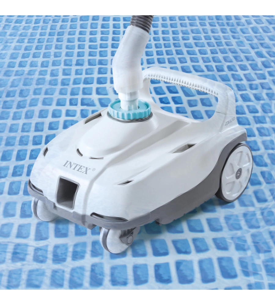 Auto cleaner zx100 per pompe filtro con flusso com - cod. 28006ex