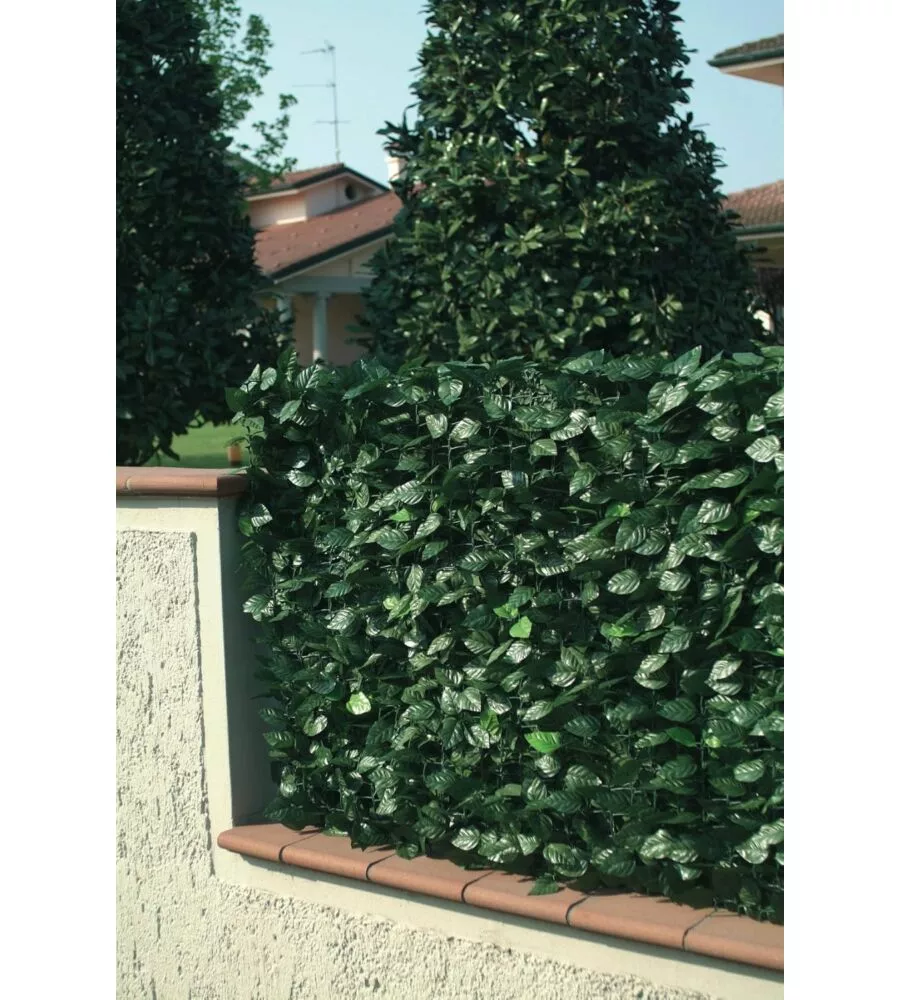 Siepe artificiale essenza in pvc con foglie lauro 300x100 cm