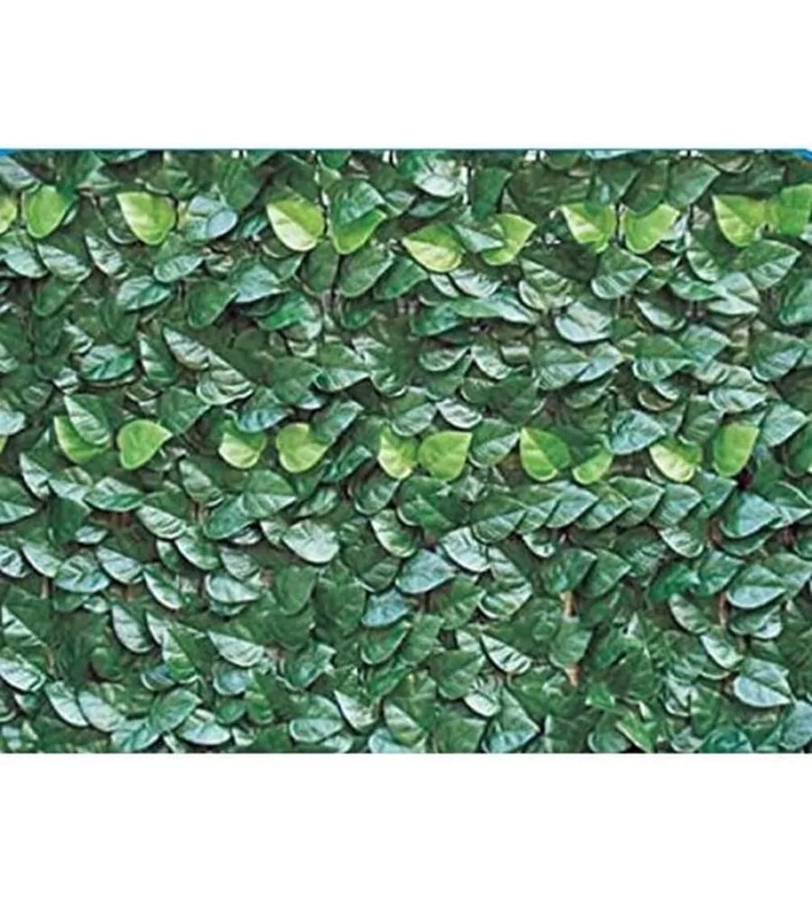 Siepe artificiale essenza in pvc con foglie lauro 300x100 cm