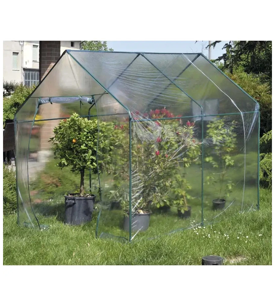 Telo di ricambio verdemax per serra narciso in plastica trasparente 185x240x205 cm