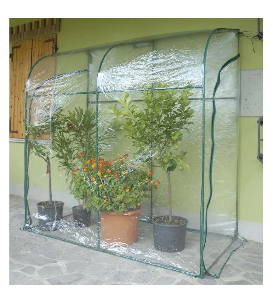 Telo di ricambio verdemax per serra oleander in plastica trasparente 200x100x215 cm