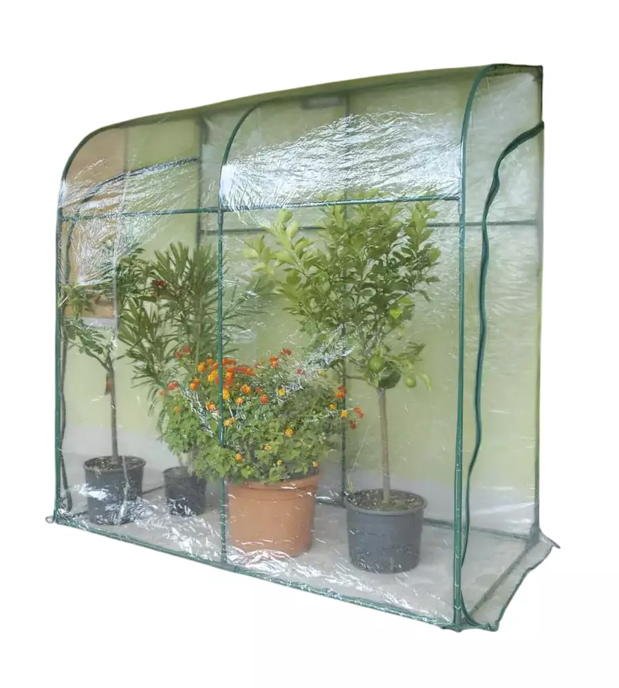 Telo di ricambio verdemax per serra oleander in plastica trasparente 200x100x215 cm
