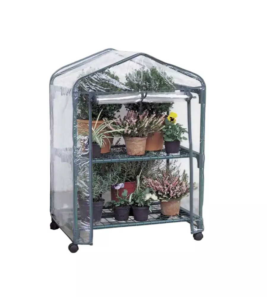 Telo di ricambio verdemax per serra azalea 2488 e 2490 in plastica trasparente 70x50x98 cm