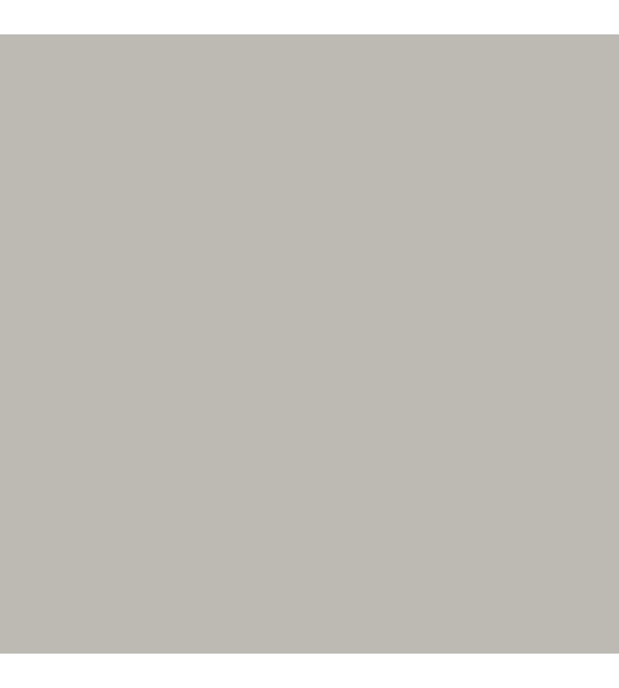 PITTURA GUAINA ANTIALGA PLUS MAX MEYER GRIGIO 4 LT