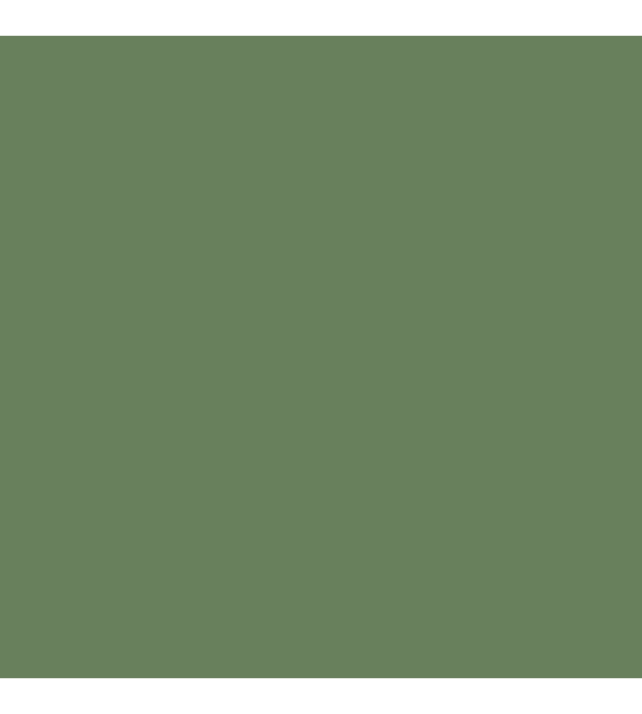 PITTURA GUAINA ANTIALGA PLUS MAX MEYER VERDE 4 LT