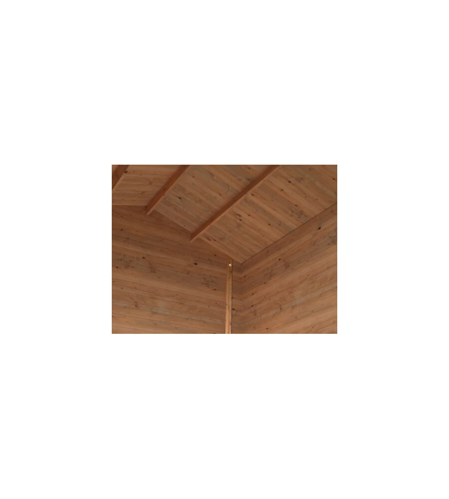 Casetta in legno da giardino "arisa" in abete impregnato 272x254x235 cm