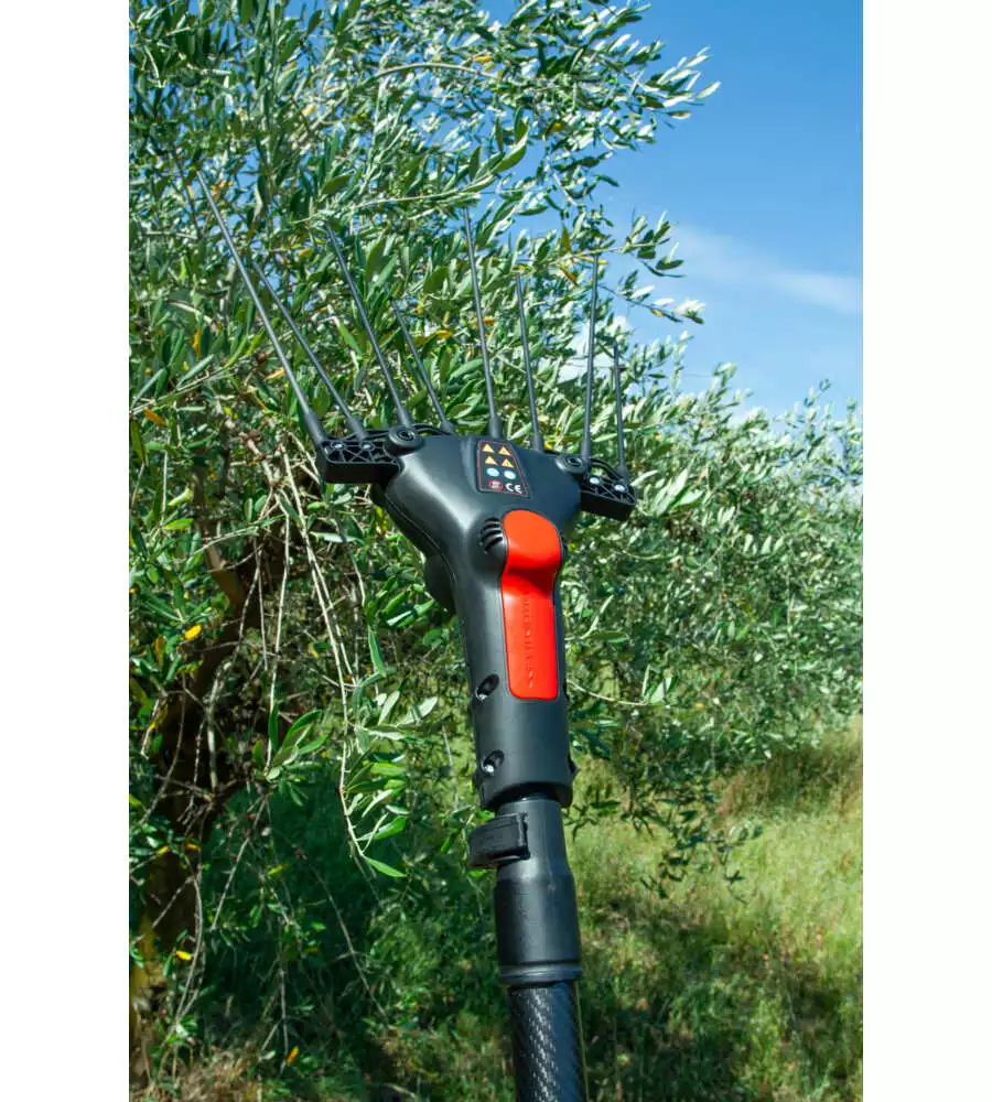 ABBACCHIATORE OLIVE BLUE BIRD "EGEO 23-50 ASTA FIX" CON KIT BATTERIA E CARICABATTERIA 12V