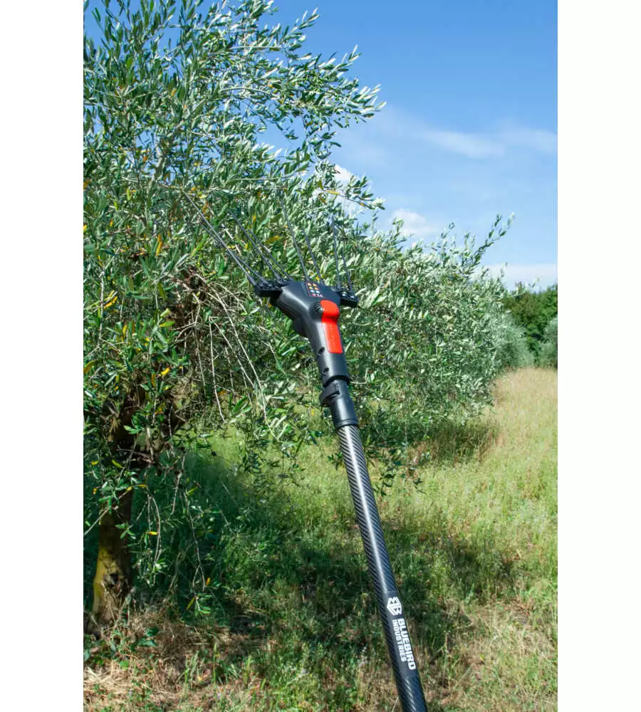 ABBACCHIATORE OLIVE BLUE BIRD "EGEO 23-50 ASTA FIX" CON KIT BATTERIA E CARICABATTERIA 12V