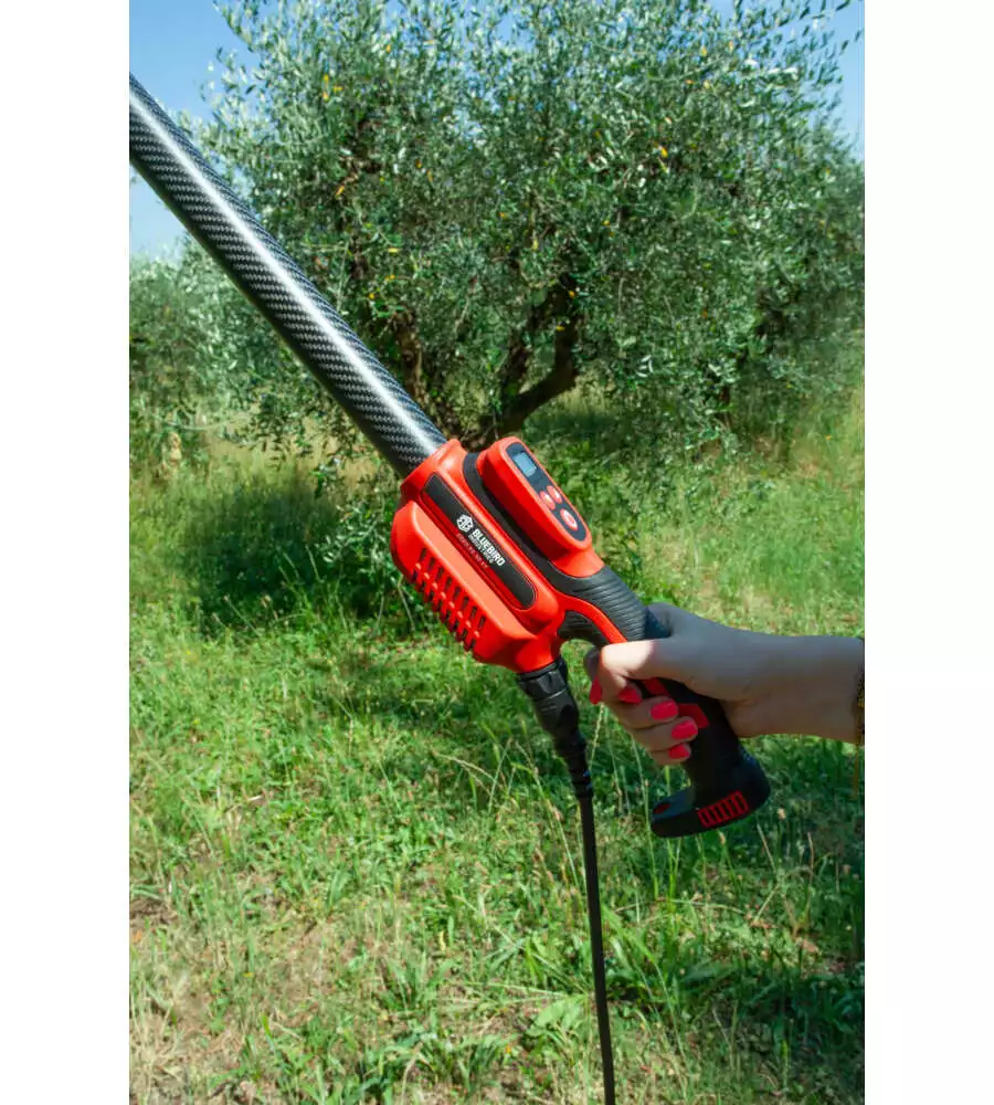 ABBACCHIATORE OLIVE BLUE BIRD "EGEO 23-50 ASTA FIX" CON KIT BATTERIA E CARICABATTERIA 12V