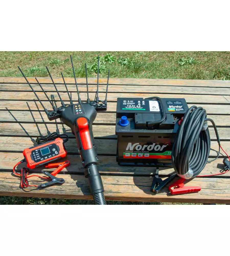 ABBACCHIATORE OLIVE BLUE BIRD "EGEO 23-50 ASTA FIX" CON KIT BATTERIA E CARICABATTERIA 12V