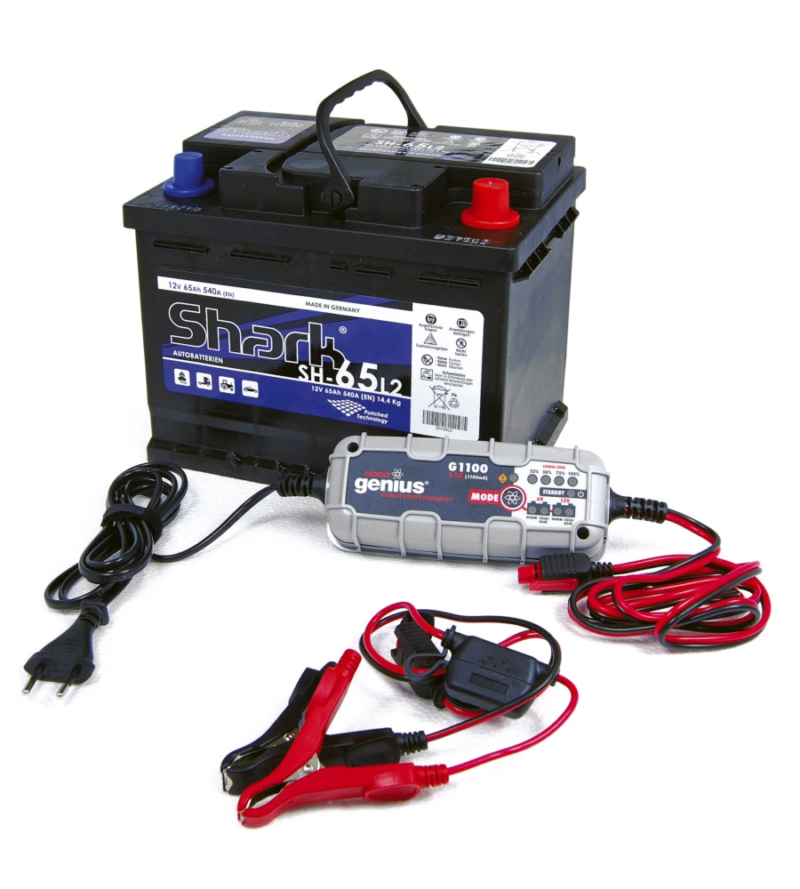 Abbacchiatore olive blue bird "egeo 23-50 asta fix" con kit batteria e caricabatteria 12v