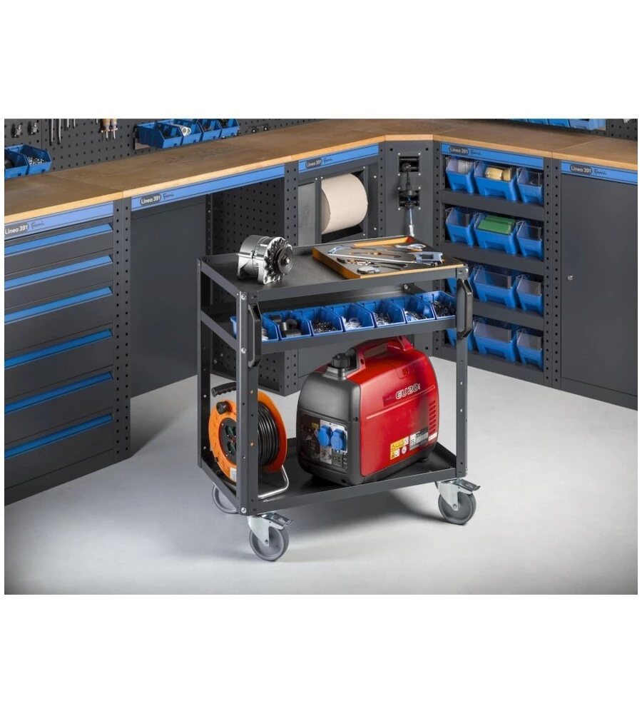 Moduli per garage fami "linea 391" con armadi con 1 anta, carrello a 3 piani e contenitori in lamiera antracite 212,8x49,5x190 cm