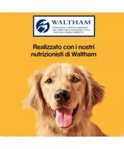 Biscotti per cani pedigree "markies original" adulto di tutte le taglie con vitamine, calcio e omerga 3 500 gr